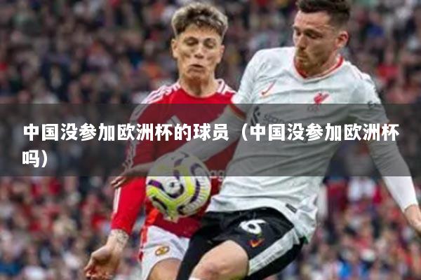 中国没参加欧洲杯的球员（中国没参加欧洲杯吗）