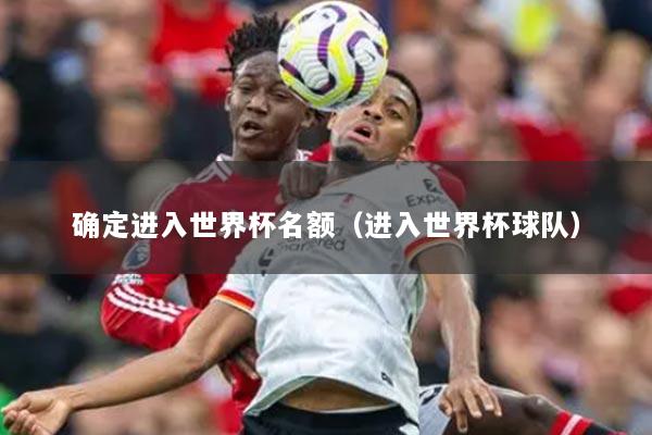 确定进入世界杯名额（进入世界杯球队）