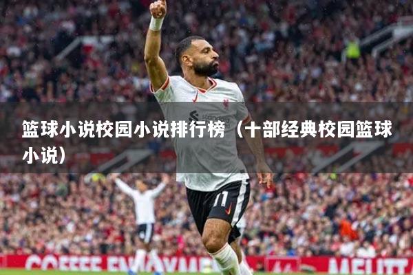 篮球小说校园小说排行榜(十部经典校园篮球小说)