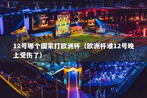 12号哪个国家打欧洲杯（欧洲杯谁12号晚上受伤了）