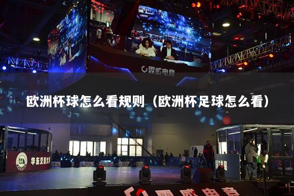 欧洲杯球怎么看规则（欧洲杯足球怎么看）