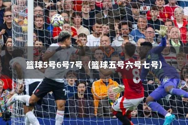 篮球5号6号7号（篮球五号六号七号）