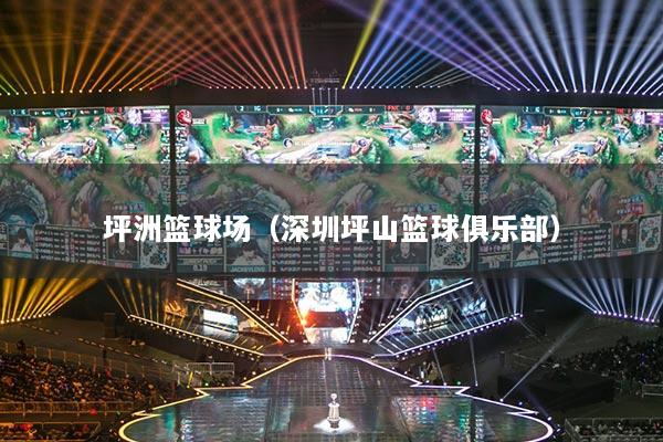 坪洲篮球场（深圳坪山篮球俱乐部）