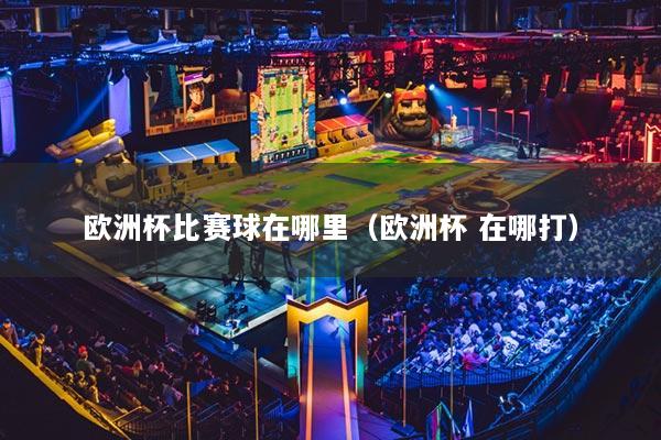 欧洲杯比赛球在哪里（欧洲杯 在哪打）