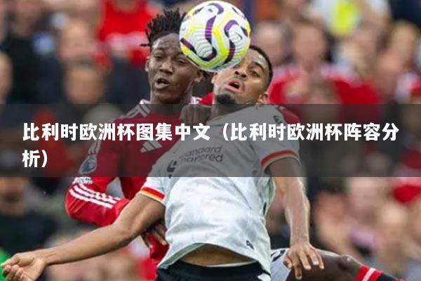 比利时欧洲杯图集中文（比利时欧洲杯阵容分析）