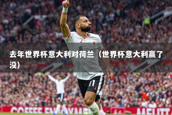 去年世界杯意大利对荷兰（世界杯意大利赢了没）