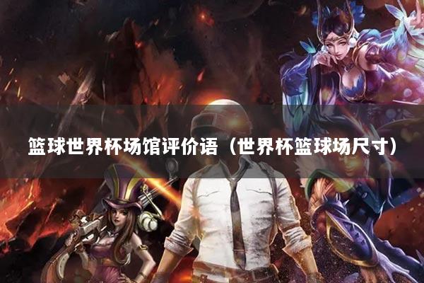 篮球世界杯场馆评价语(世界杯篮球场尺寸)